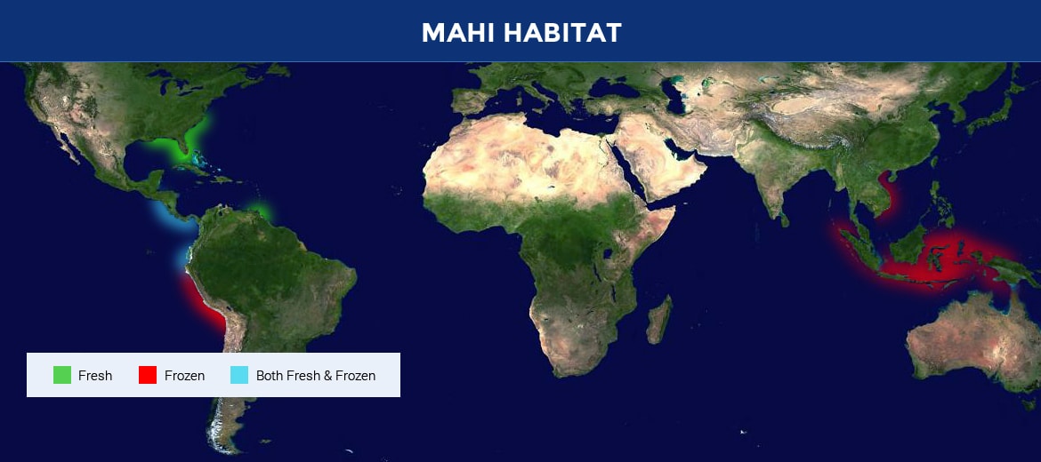 Mahi Seafood Products Offered By Beacon Fisheries